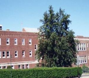 St. Nicholas of Tolentine School